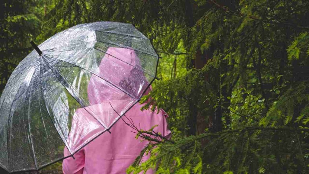 Allerta meteo: in queste città le scuole saranno chiuse, fai attenzione