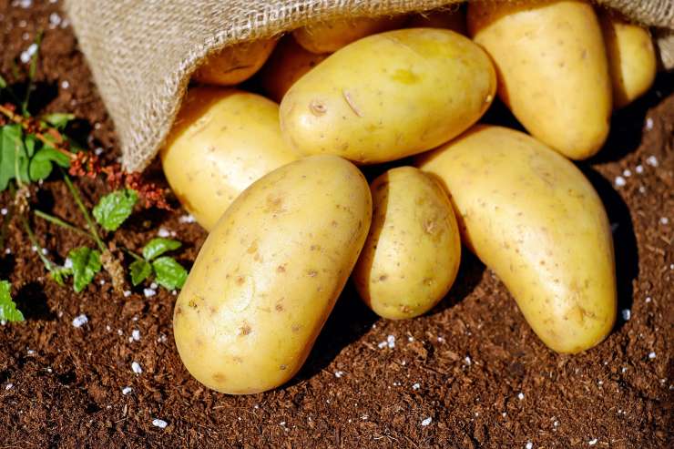 patate ecco il segreto