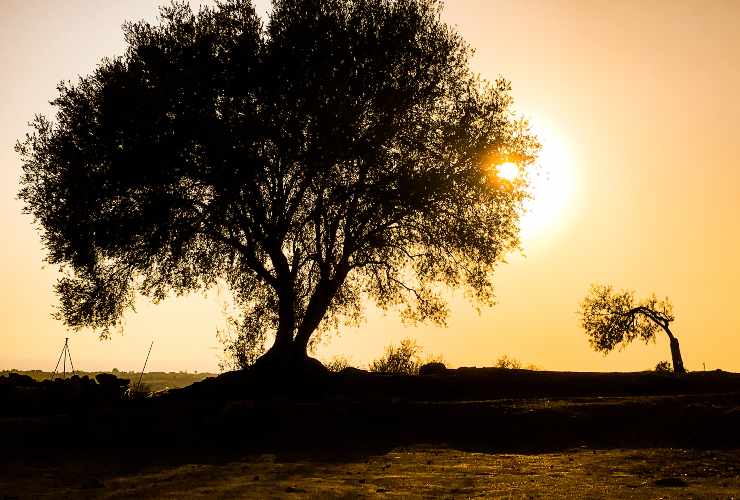 Tramonto nel cuore della splendida Licata - foto wikimedia commons - trs98.it
